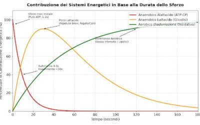Sistemi Energetici dell’attività fisica